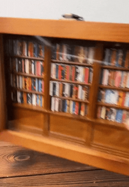 Anxiety Bookshelf – Shake Away Stress with This Satisfying Desk Toy